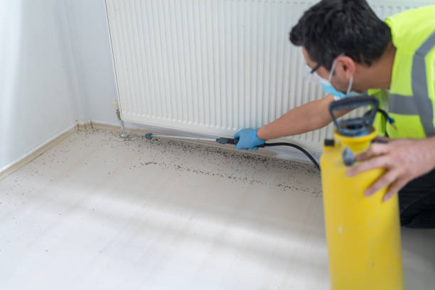 Best Pest Removal Services  in Bunk Foss, WA